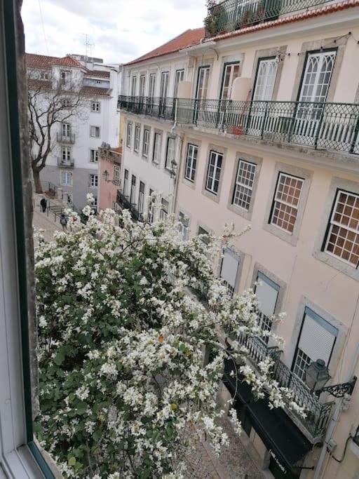 Lx Townhouse Ideal For Big Groups Prime Location Trendy Street Lisboa Екстериор снимка